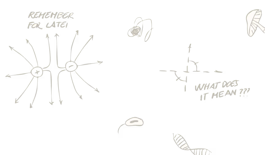 Right drawing